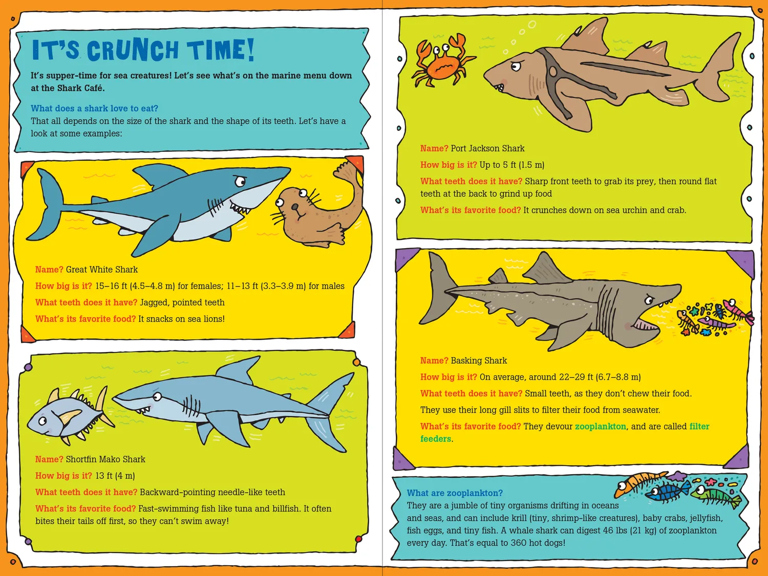 Peter Pauper Press 100 Questions about Sharks barnebok innbundet