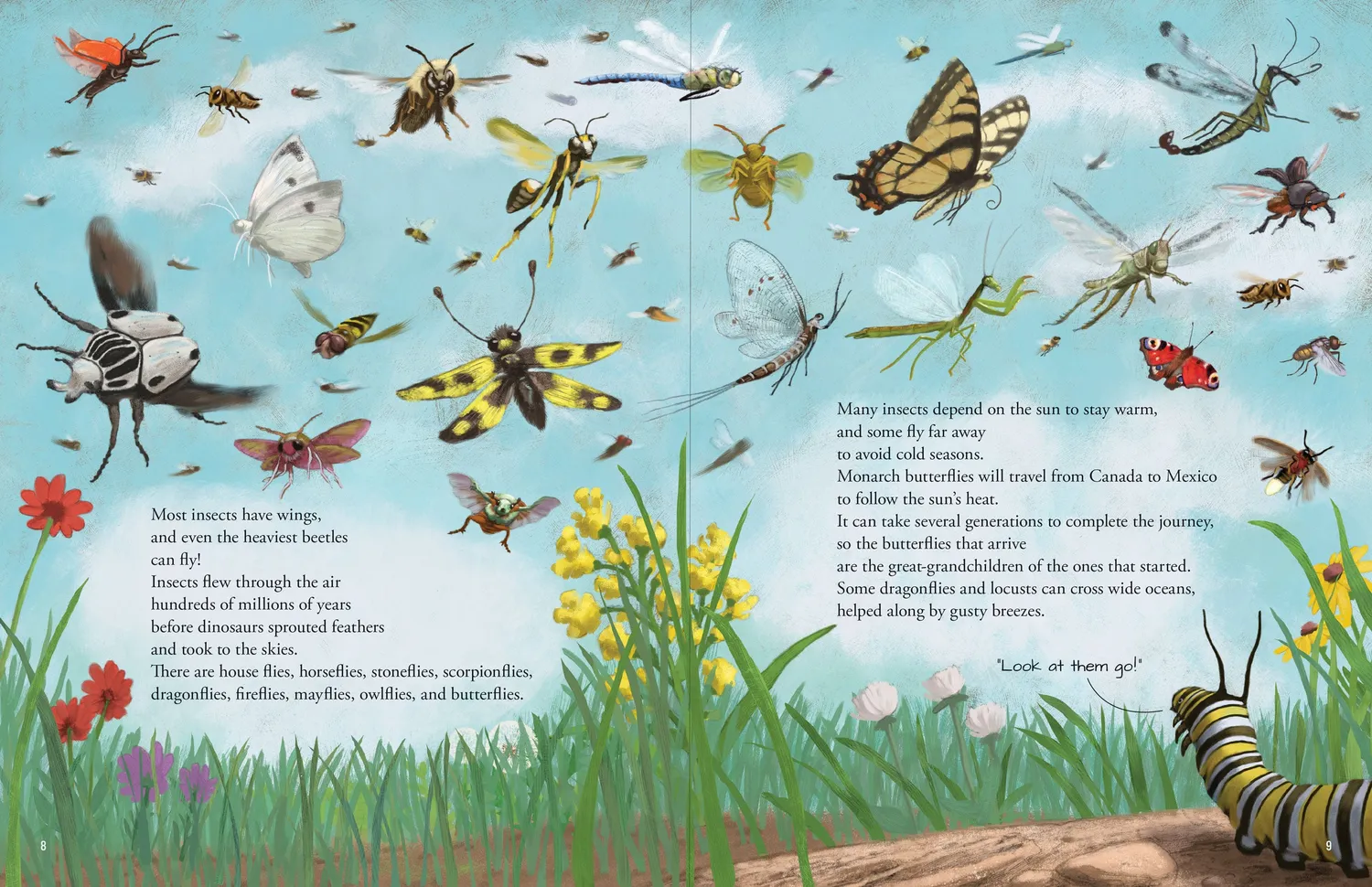 Peter Pauper Press All the Insects bildebok innbundet 32 sider