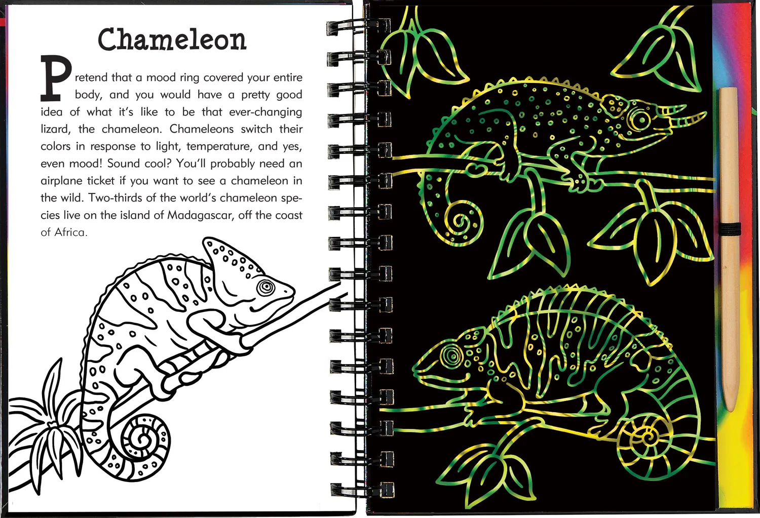 Peter Pauper Press Scratch and Sketch Rain Forest skrapebok