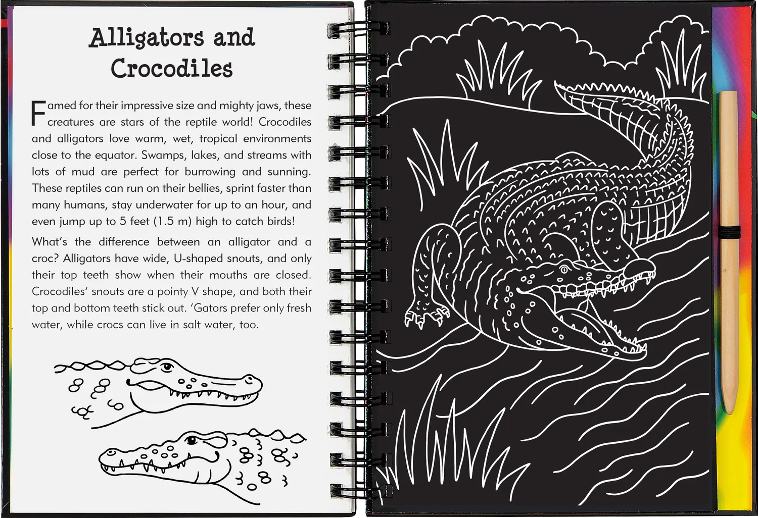 Peter Pauper Press Scratch and Sketch Reptiles & Amphibians skrapebok for barn