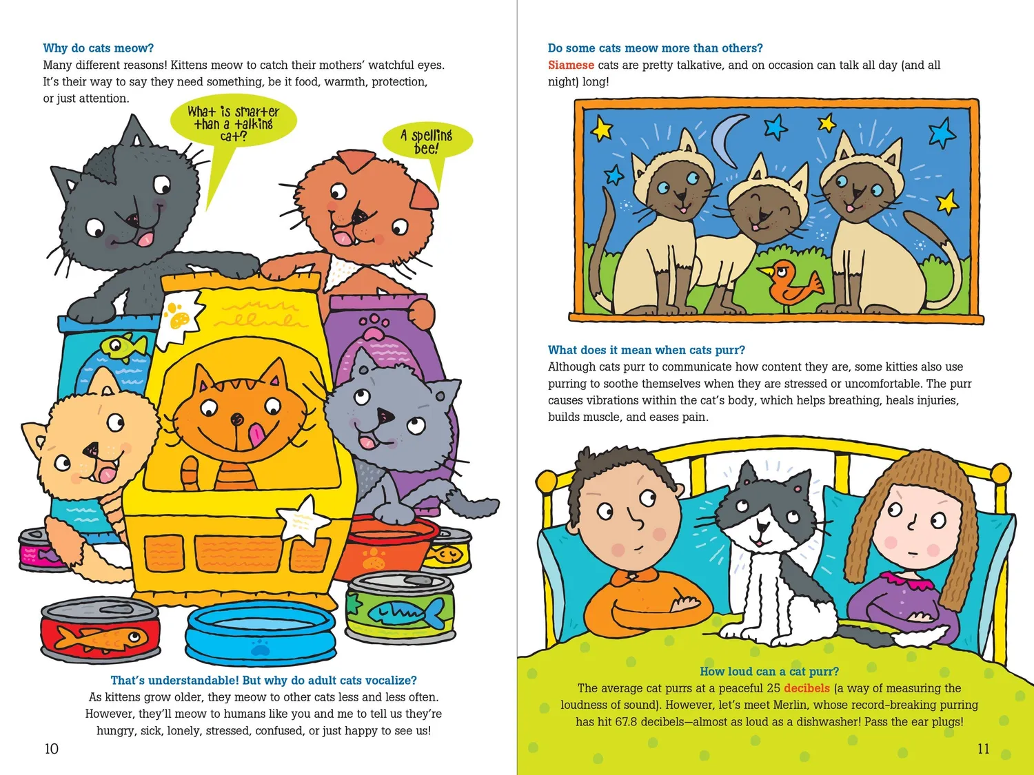 Peter Pauper Press 100 Questions about Cats barnebok katt