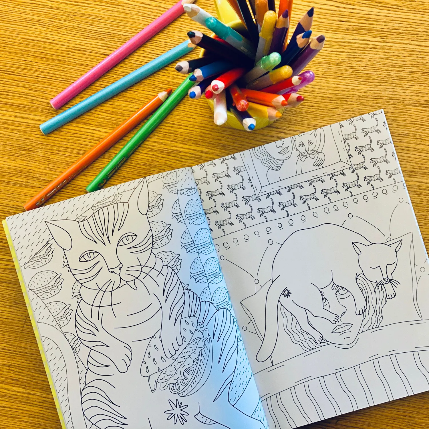 Abrams Cat Butt Coloring and Activity Book fargeleggingsbok humor