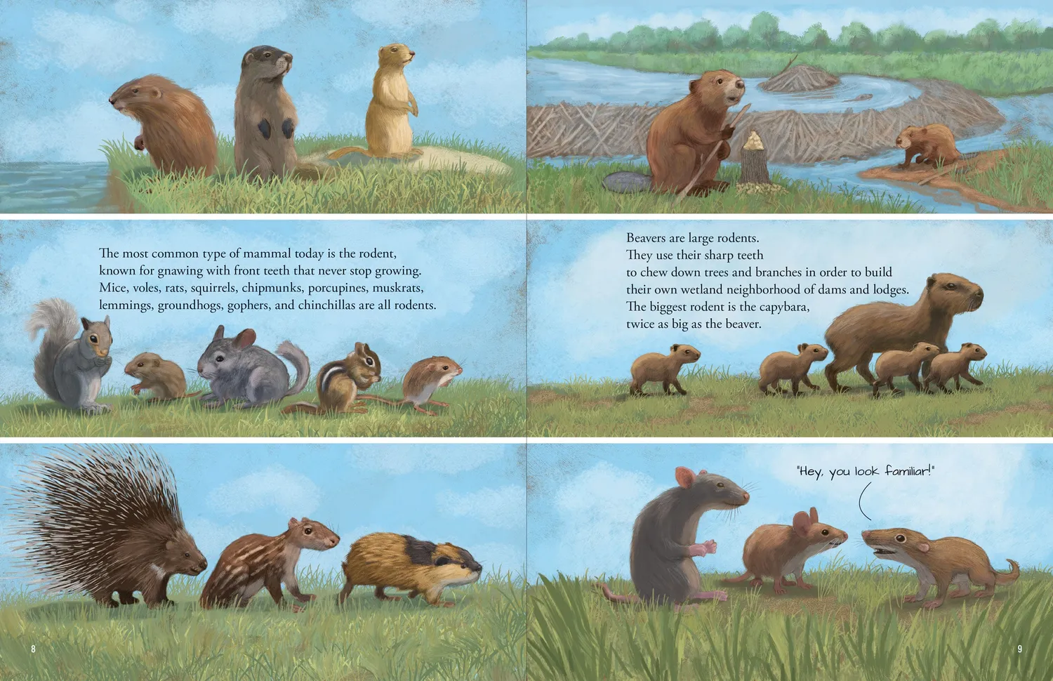 Peter Pauper Press All the Mammals in the World bildebok innbundet