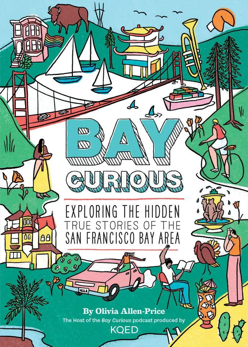 Abrams and Chronicle Bay Curious pocketbok San Francisco