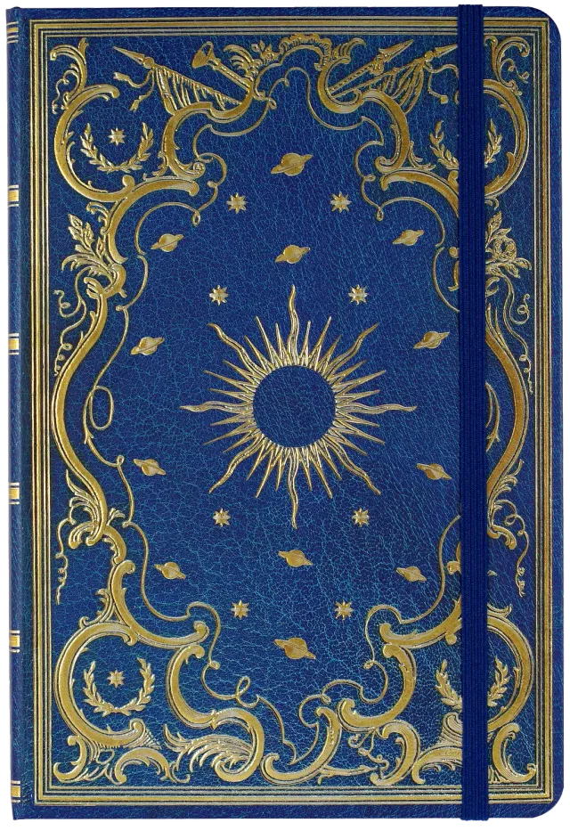 Peter Pauper Press Celestial Dot Matrix Notebook notatbok A5 gull
