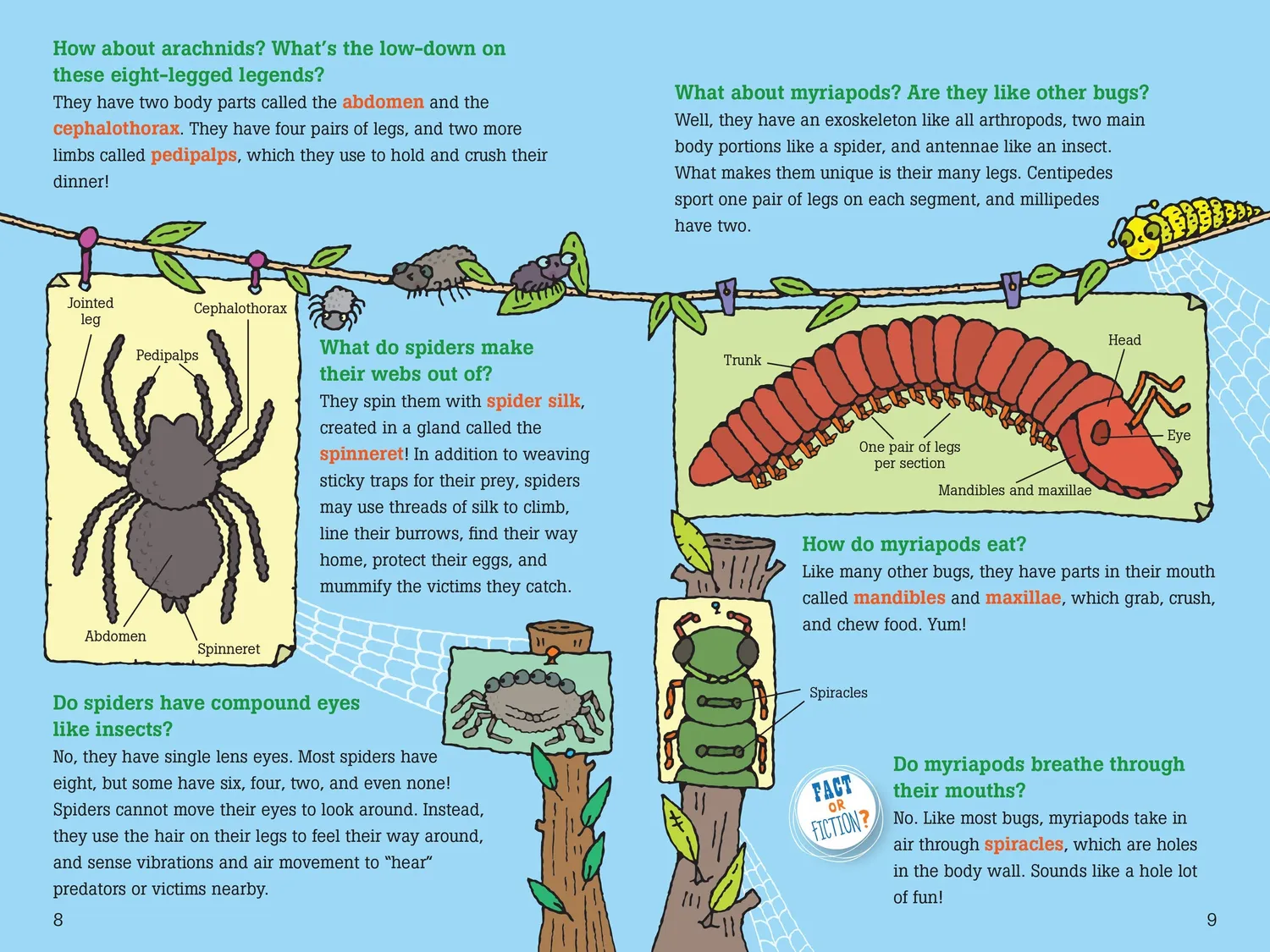 Peter Pauper Press 100 Questions about Bugs barnebok innbundet