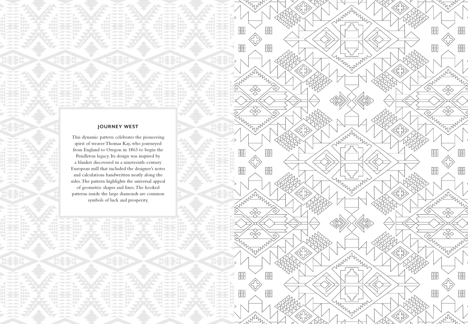 Chronicle Books Pendleton Coloring Book fargeleggingsbok