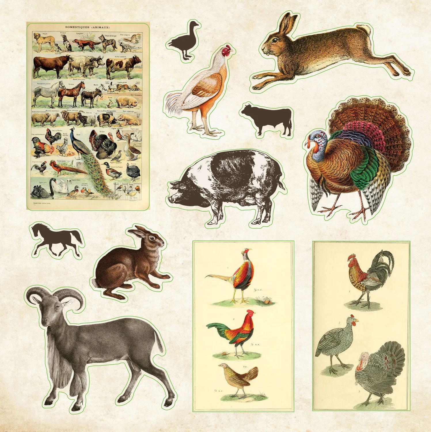 Peter Pauper Press Zoological Ephemera klistremerkebok 680-pk dyr