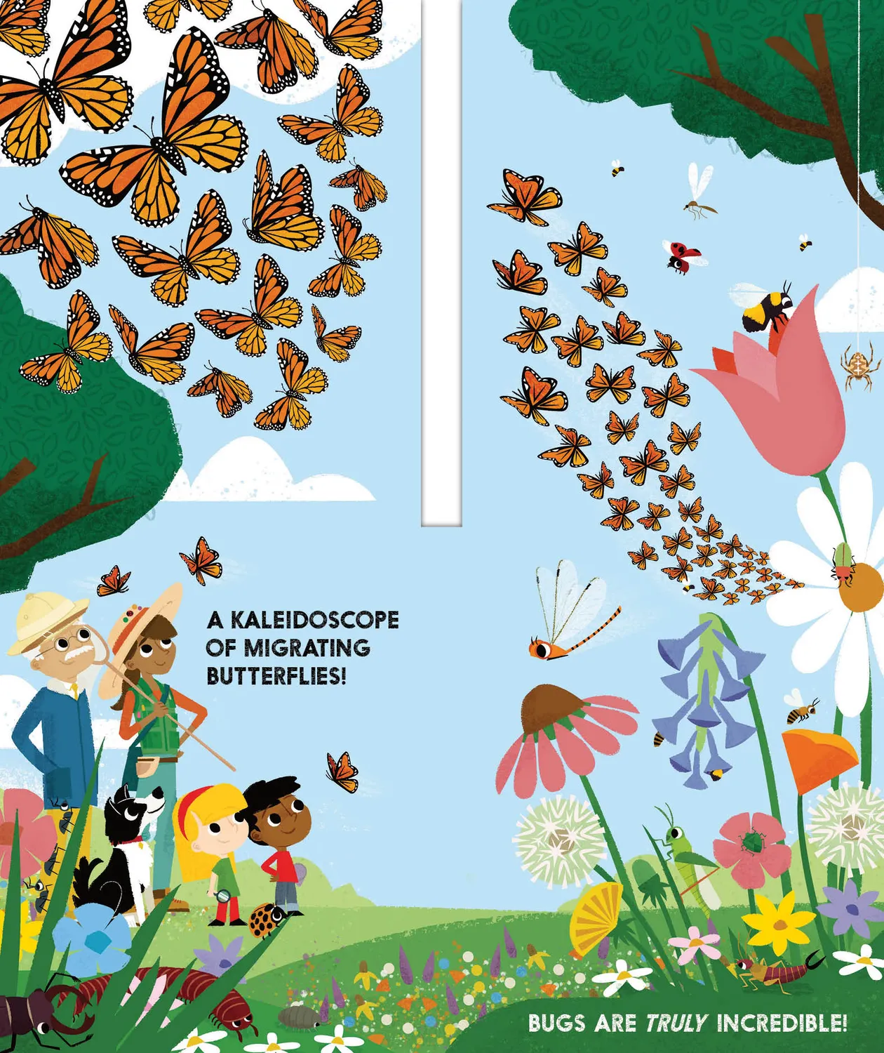 Abrams Block Book Bugblock pekebok om insekter