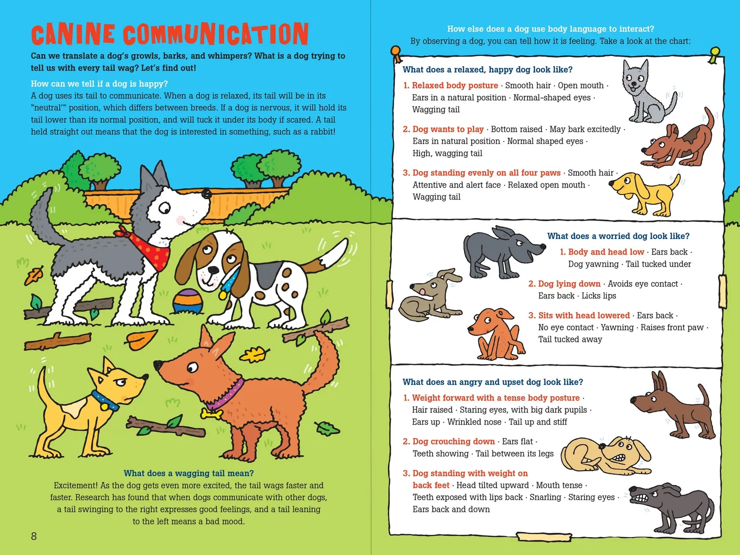 Peter Pauper Press 100 Questions Dogs barnebok innbundet hund