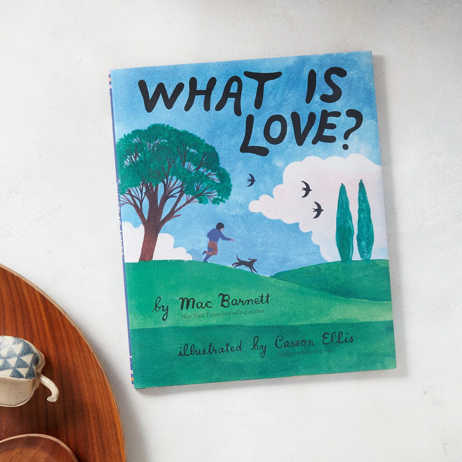 Abrams and Chronicle What Is Love? bildebok innbundet