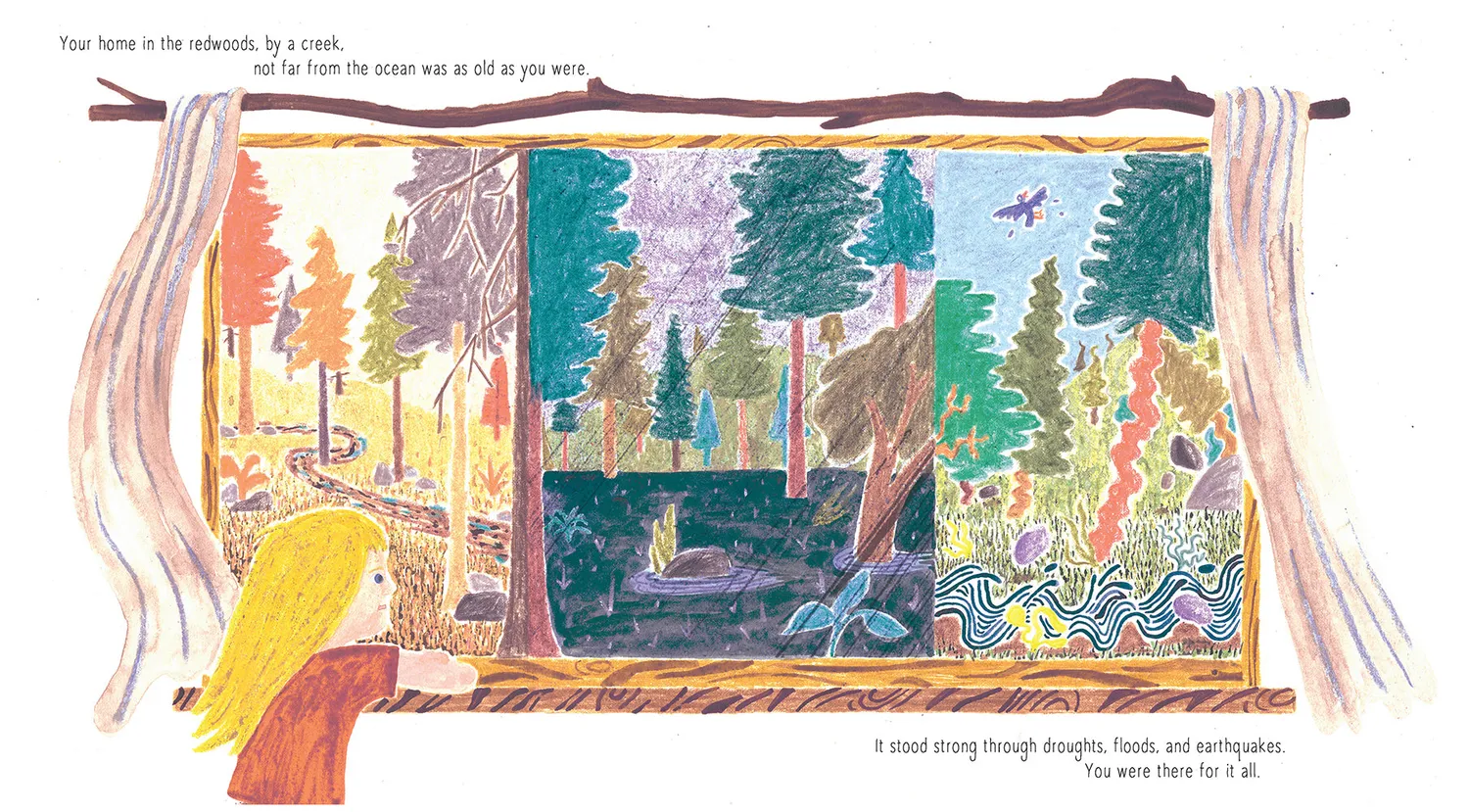 Cameron Kids Dear Wild Child bildebok innbundet