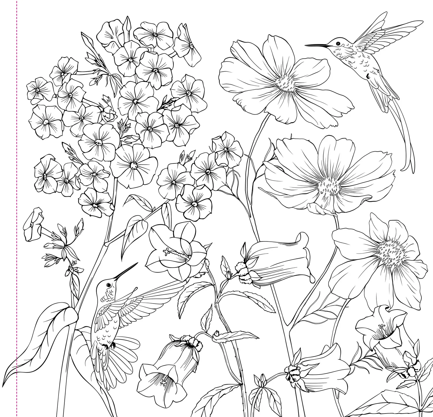 Peter Pauper Press Wildflowers fargebok voksen 31 motiv