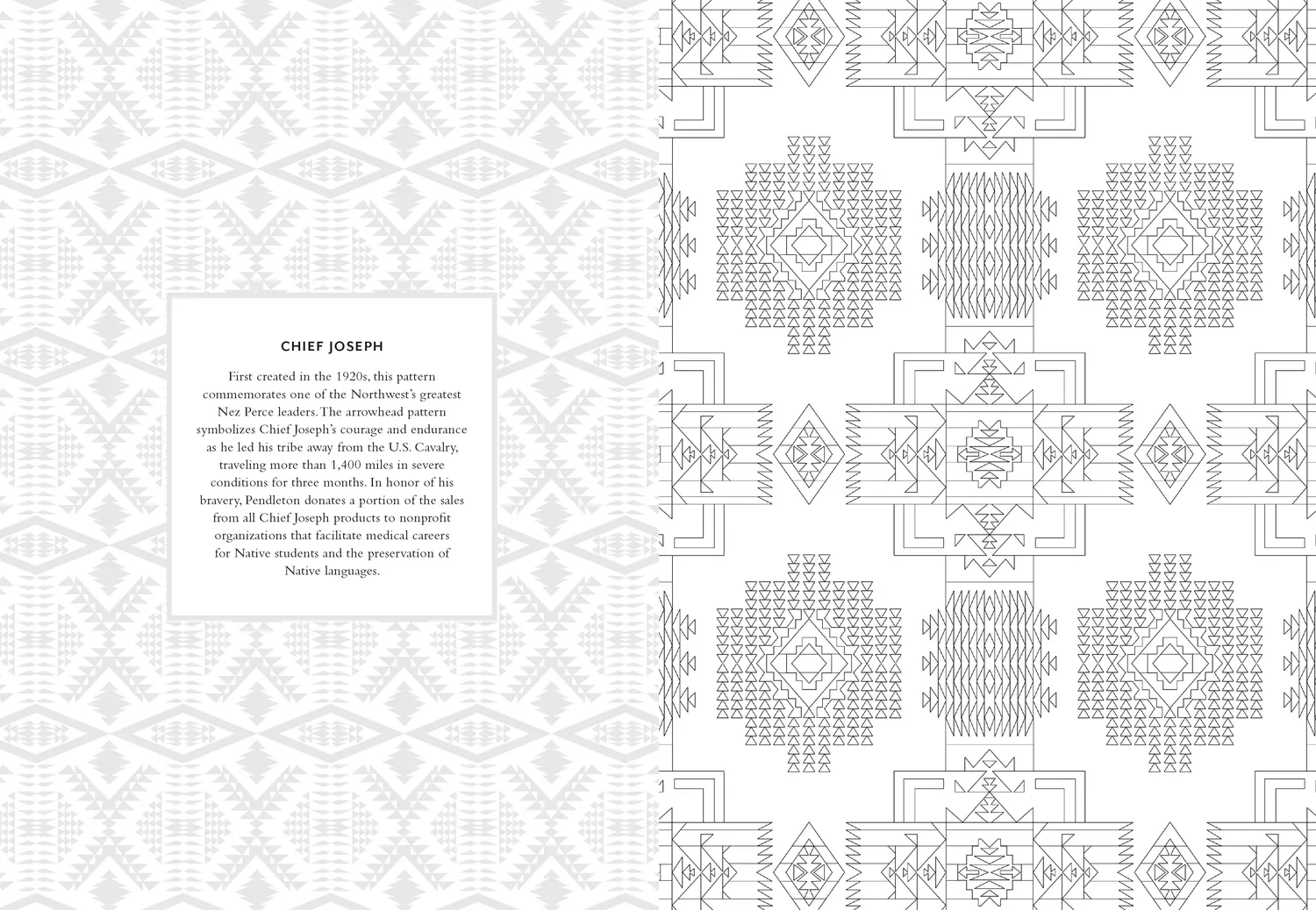 Chronicle Books Pendleton Coloring Book fargeleggingsbok