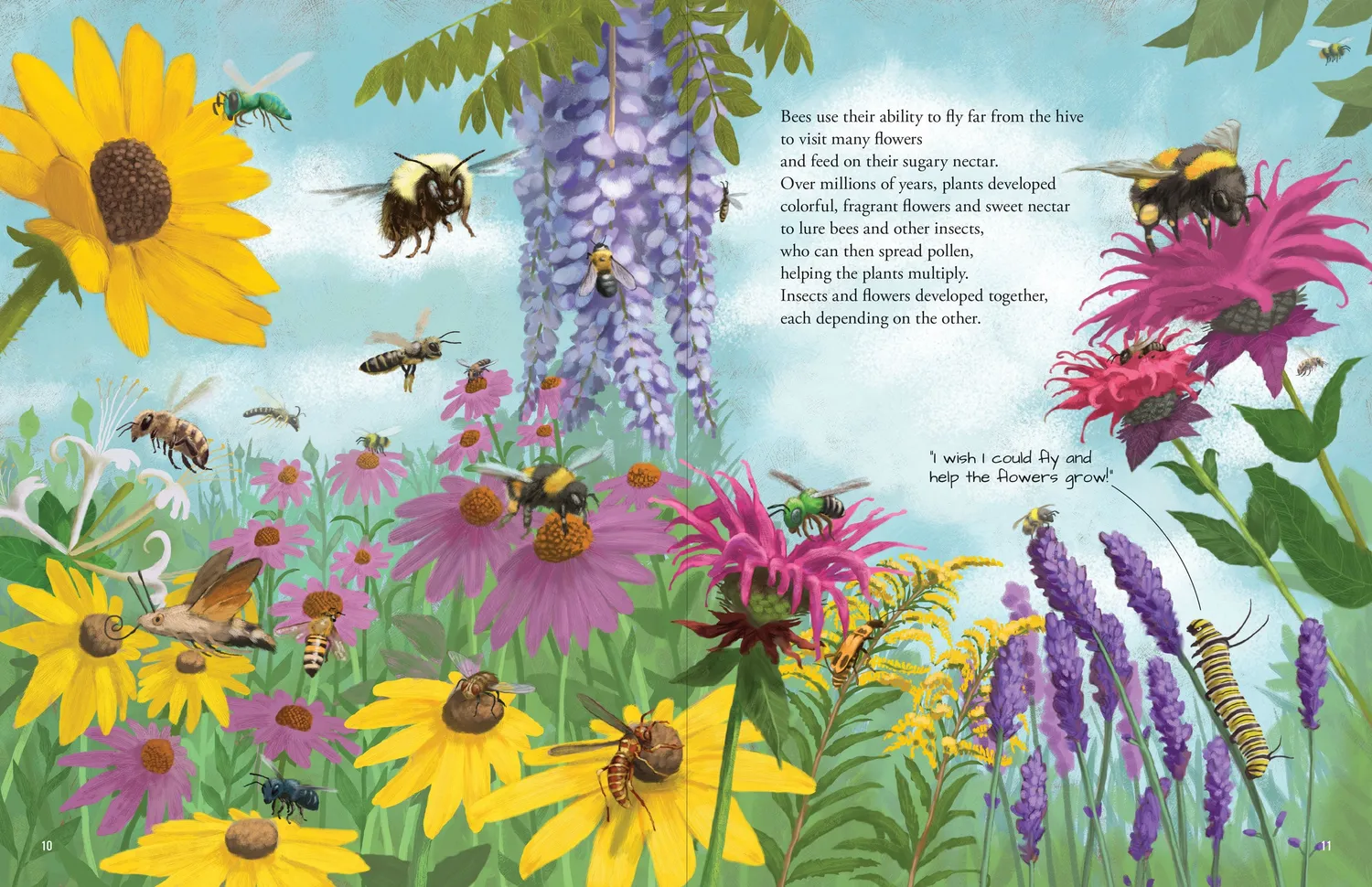 Peter Pauper Press All the Insects bildebok innbundet 32 sider