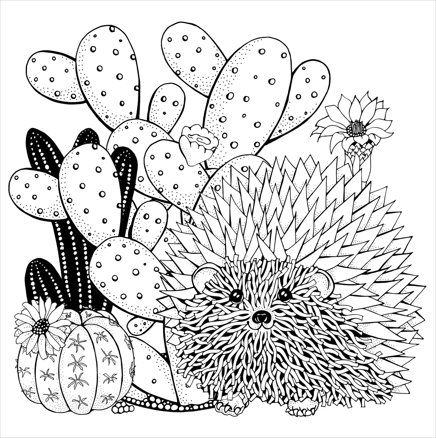 Peter Pauper Press Succulents fargeleggingsbok 31 motiver