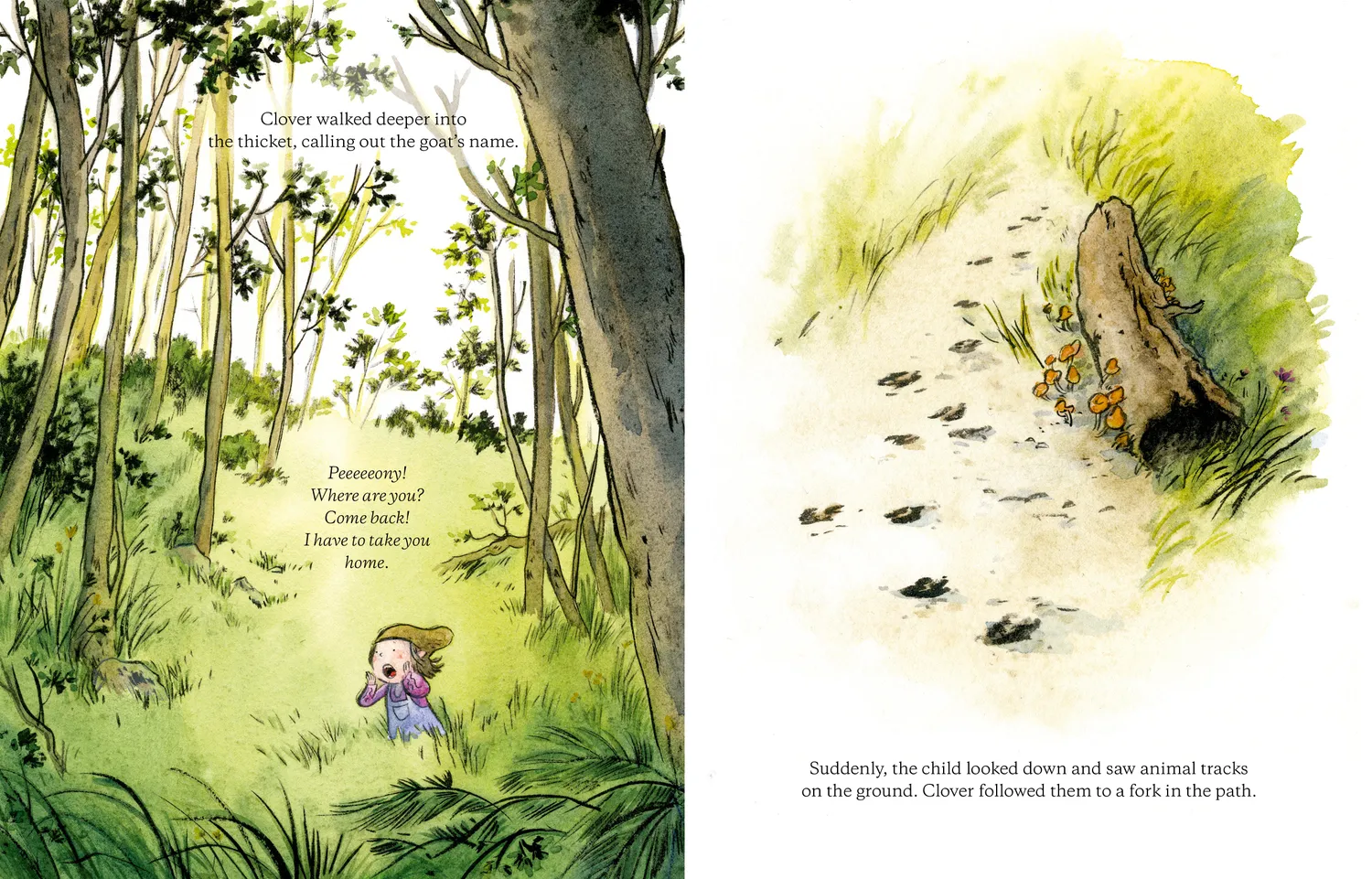 Abrams Clover bildebok innbundet 5–9 år