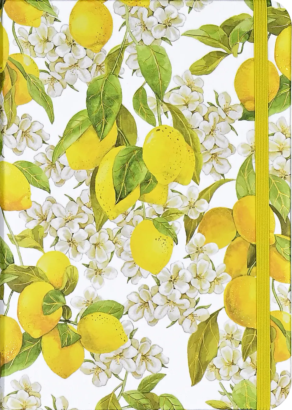 Peter Pauper Press Amalfi Lemons notatbok liten