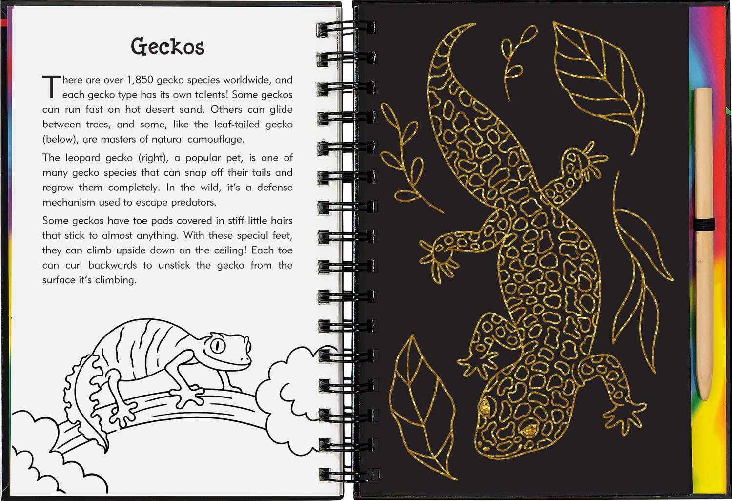 Peter Pauper Press Scratch and Sketch Reptiles & Amphibians skrapebok for barn