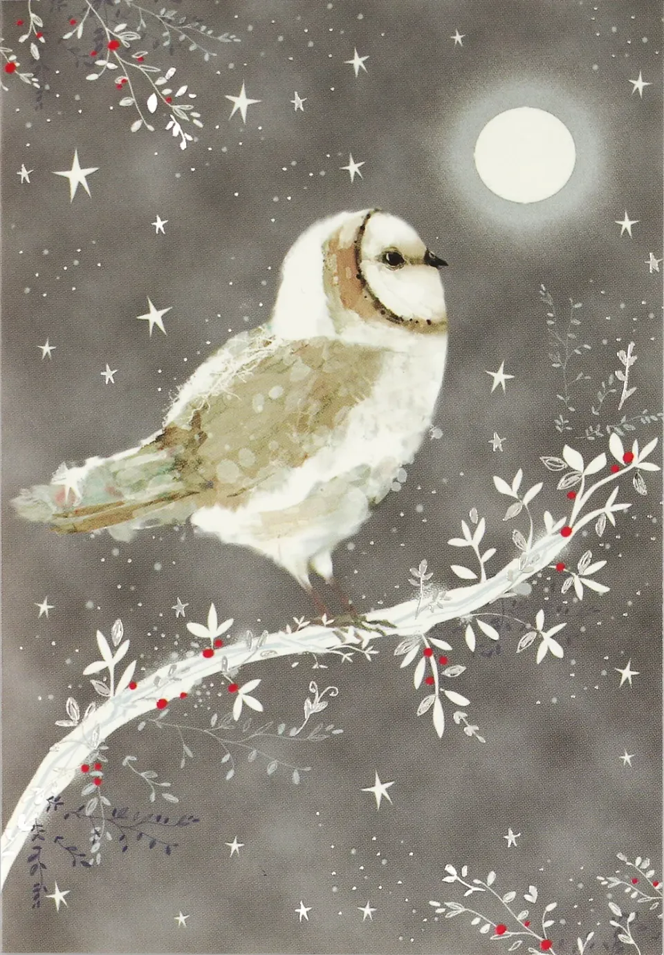 Peter Pauper Press Starry Night Owl julekort 20 stk sølvfolie