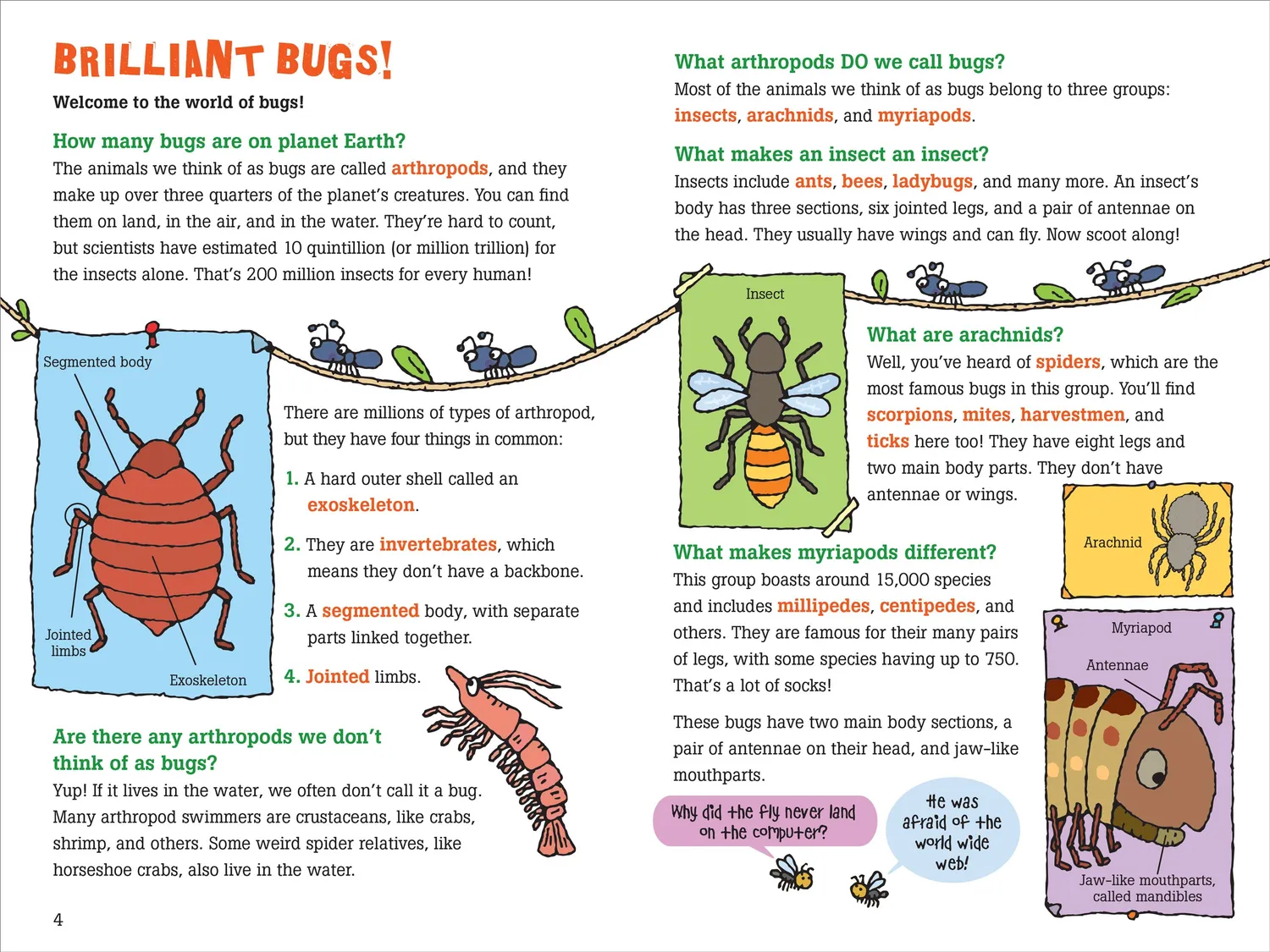 Peter Pauper Press 100 Questions about Bugs barnebok innbundet
