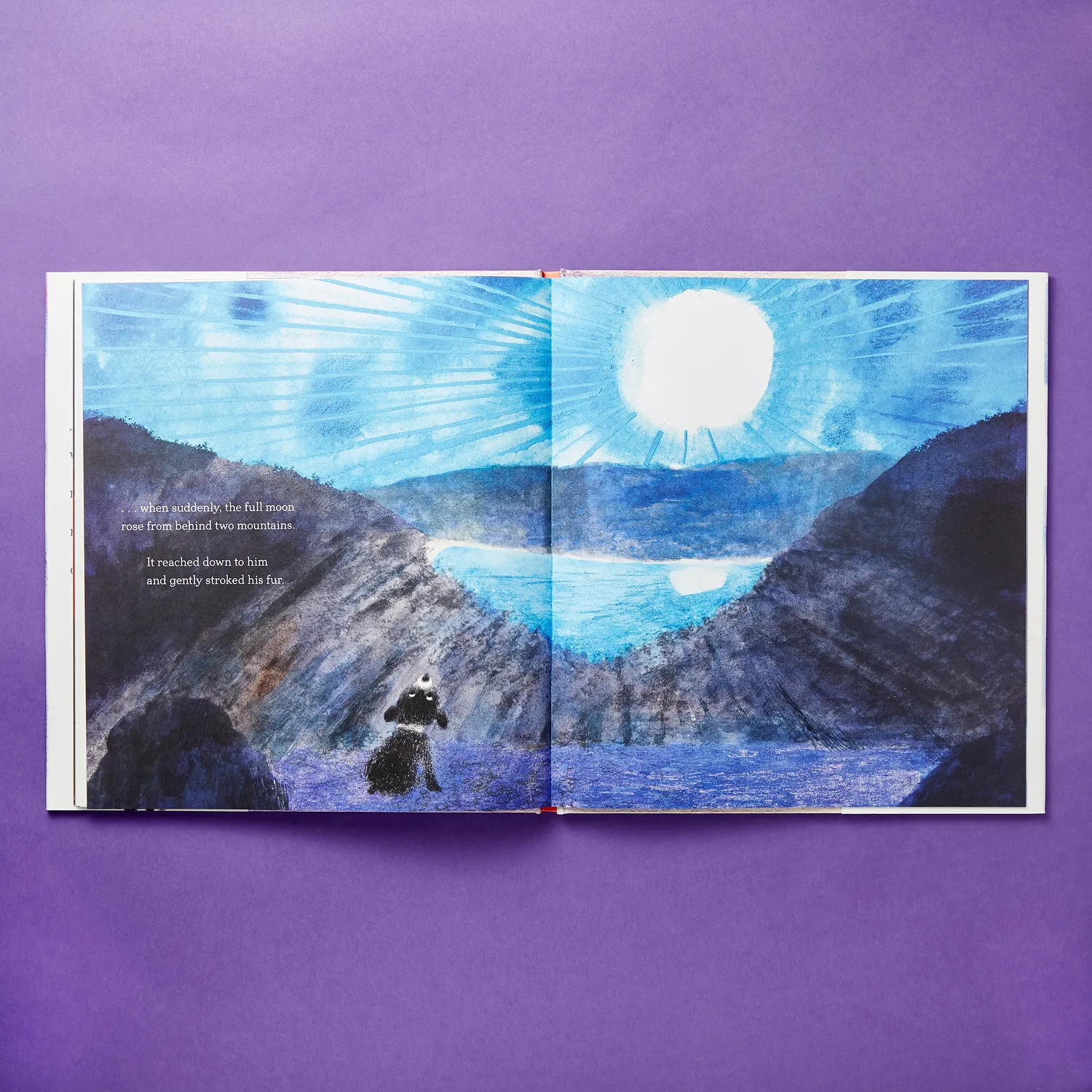 The Bear and the Moon bildebok innbundet vennskap