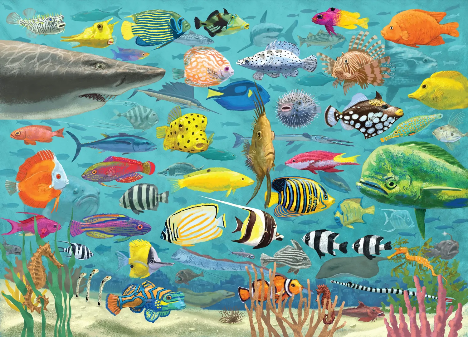 Peter Pauper Press All the Fish puslespill 1000 brikker havmotiv