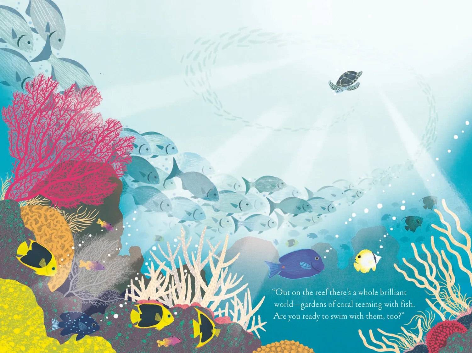 Over and Under Over and Under the Coral Reef barnebok 5-8 år