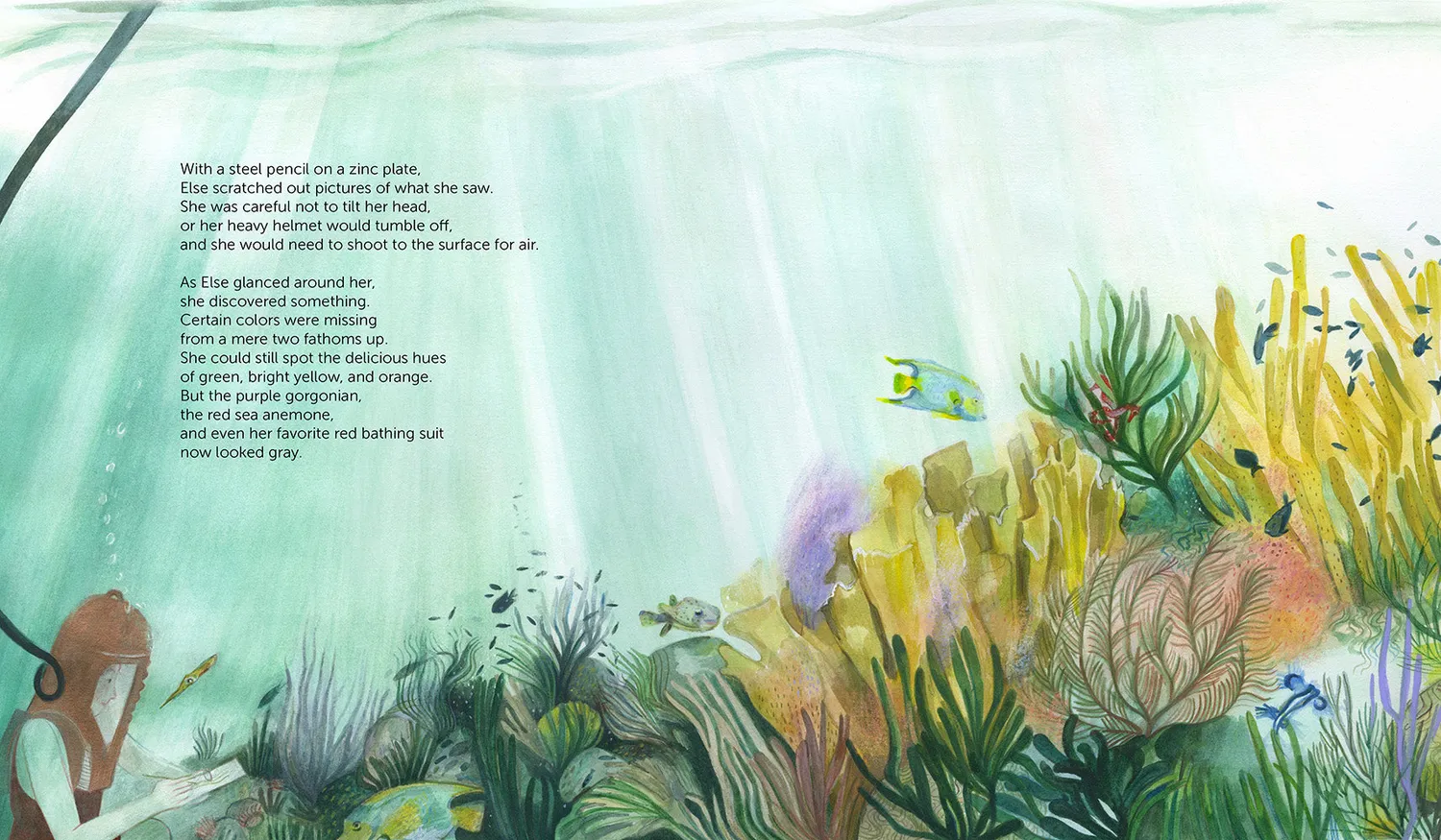 Abrams Else B. in the Sea bildebok innbundet 5–7 år hav