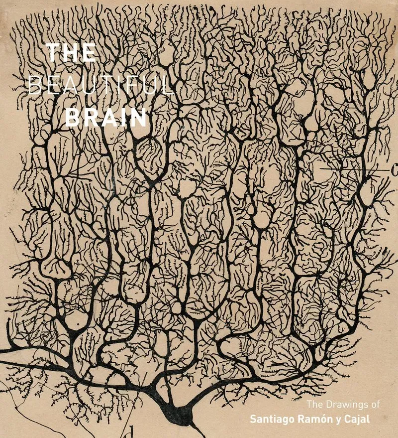 Abrams The Beautiful Brain kunstbok innbundet hjerne